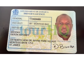 License Image