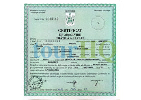 License Image