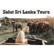 salutsrilankatours-negombo-tour-operator