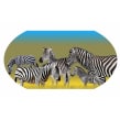 footslopestoursandsafaris-arusha-tour-operator