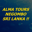 almatours-negombo-tour-operator