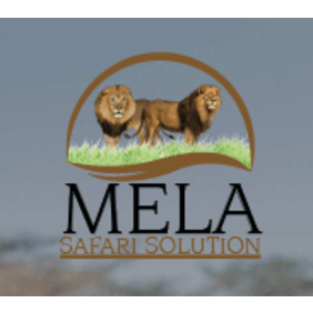 melasafarisolution-daressalaam-tour-operator