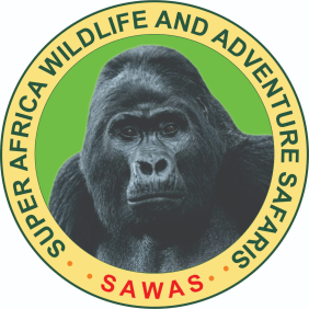 superafricawildlifeandadventuresafaris-nairobi-tour-operator