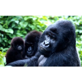 birchillexpeditions-kampala-tour-operator