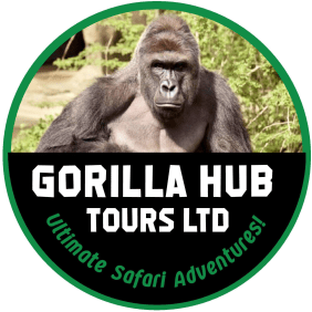 gorillahubtours-kampala-tour-operator