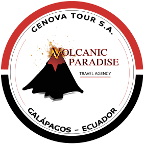 volcanicparadisegalapagos-galapagosislands-tour-operator