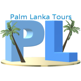 palmlankatours-negombo-tour-operator