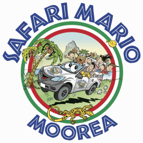 mariomoorea-mo