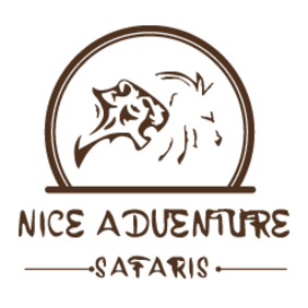 niceadventuresafaris-daressalaam-tour-operator