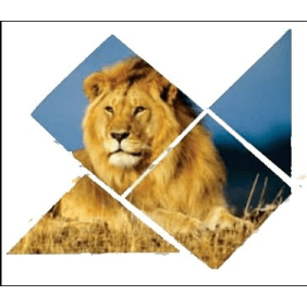 focustravelandtours-victoriafalls-tour-operator
