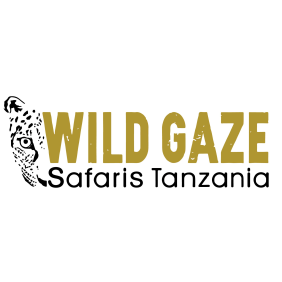 wildgazesafaris-iringa-tour-operator