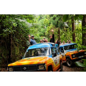 greendevilsafariunipessoallda-madeiraisland-tour-operator