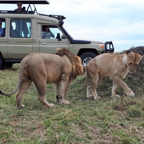 mountkilimanjaro-moshi-tour-operator