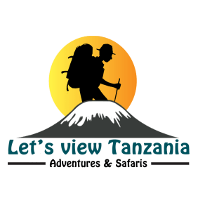 letsviewtanzania-mountkilimanjaro-tour-operator