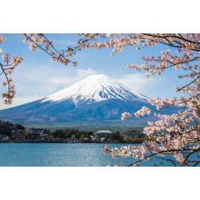 dgroup-mountfuji-tour-operator