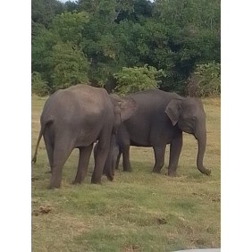 dohapridetourism-doha-tour-operator