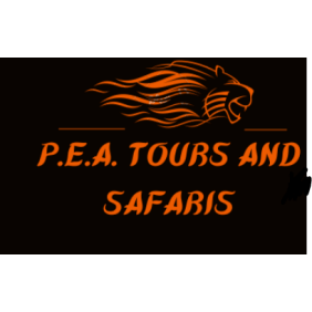 peatoursandsafaris-windhoek-tour-operator