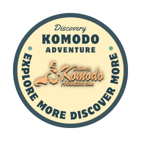 discoverykomodoadventure-komodoisland-tour-operator