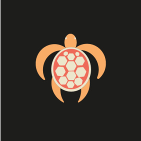 ceylonhunt-negombo-tour-operator