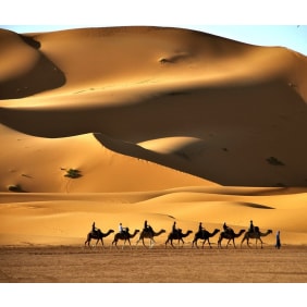 moroccosaharaholiday-casablanca-tour-operator