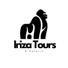 irizatours&safaris-kigali-tour-operator