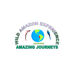 wildamazonexperience-iquitos-tour-operator