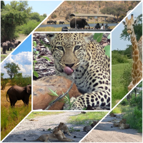 victoriafallsafricanatours&transfers-victoriafalls-tour-operator