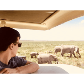 adventurekenyasafaris-nairobi-tour-operator