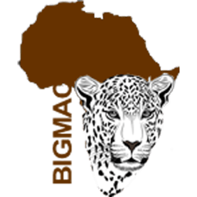 bigmacafricasafaris-nairobi-tour-operator