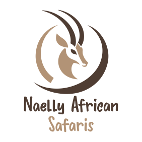 naellyafricansafari-arusha-tour-operator