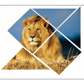 focustravelandtours-victoriafalls-tour-operator