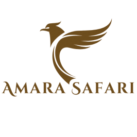 amarasafari|luxuryafricansafari|tanzaniatours-daressalaam-tour-operator