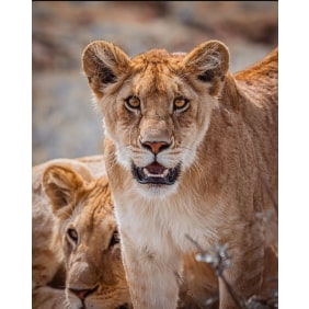 heavengetaway-arusha-tour-operator