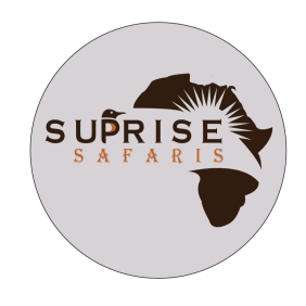 www.suprisesafaris.com-arusha-tour-operator