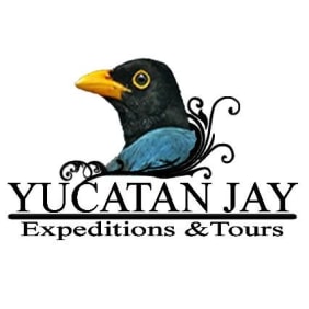 yucatanjay-valladolid-tour-operator