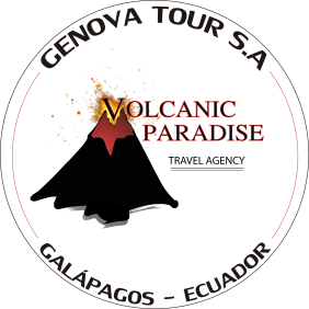 volcanicparadisegalapagos-galapagosislands-tour-operator