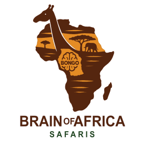 brainofafricasafaris-arusha-tour-operator