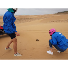 dianaquad-essaouira-tour-operator