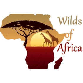 wildsofafricatours&travel-daressalaam-tour-operator