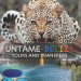 untamebelize-hopkins-tour-operator