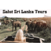 salutsrilankatours-negombo-tour-operator