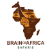 brainofafricasafaris-arusha-tour-operator