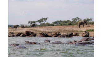 fortportal-sightseeing