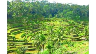 bali-sightseeing