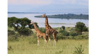 entebbe-sightseeing