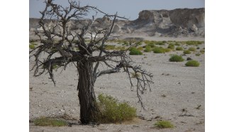 muscat-sightseeing