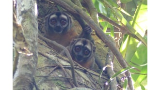 iquitos-sightseeing