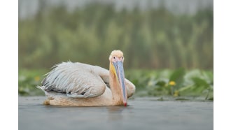 danubedelta-sightseeing