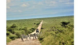 serengetinationalpark-sightseeing