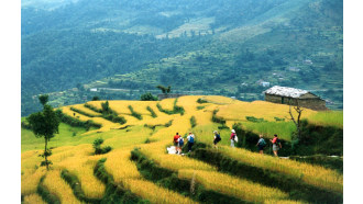 kathmandu-sightseeing